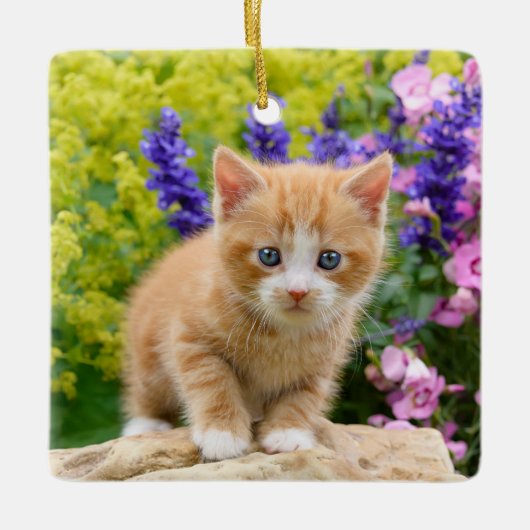 Niedliche Fluffy Ginger Baby Cat Kitten in Blume H Keramikornament (Vorderseite)