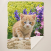 Niedliche Fluffy Ginger Baby Cat Kitten in Blume H Sherpadecke (Vorderseite)