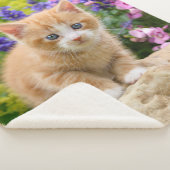 Niedliche Fluffy Ginger Baby Cat Kitten in Blume H Sherpadecke (3/4)
