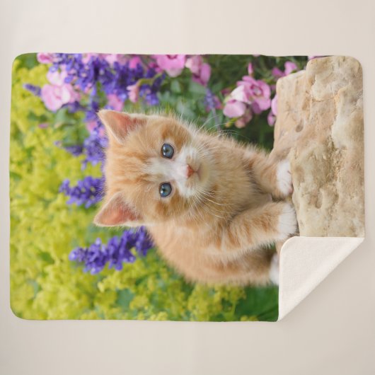 Niedliche Fluffy Ginger Baby Cat Kitten in Blume H Sherpadecke (Vorderseite (Horizontal))