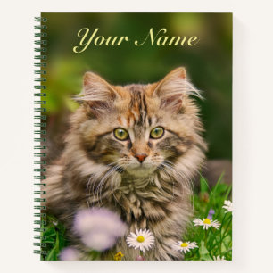 Niedliche Fluffy Maine Coon Kitten Cat in Blume Na Notizblock