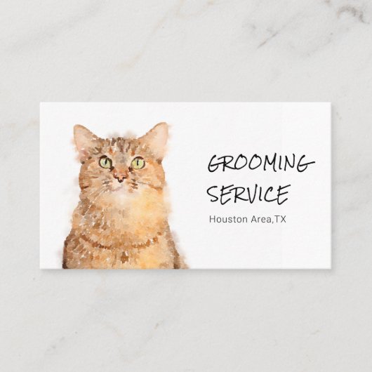 Niedliche Fluffy Orange Cat Grooming Business Card Visitenkarte (Vorderseite)