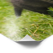 Niedliche Fluffy Red Fox Cub Wild Animal Baby - Fotodruck (Ecke)