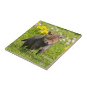 Niedliche Fluffy Red Fox Cub Wild Baby Animal, Ker Fliese (Seite)