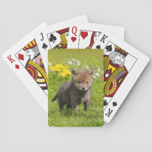 Niedliche Fluffy Red Fox Cub Wild Baby Animal, spi Spielkarten