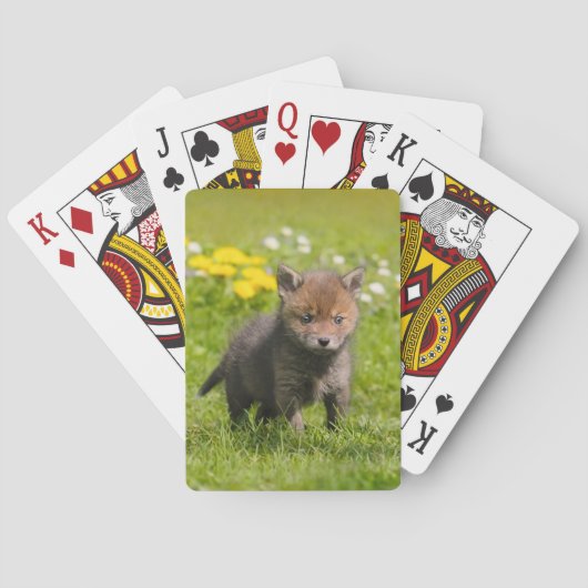 Niedliche Fluffy Red Fox Cub Wild Baby Animal, spi Spielkarten (Rückseite)