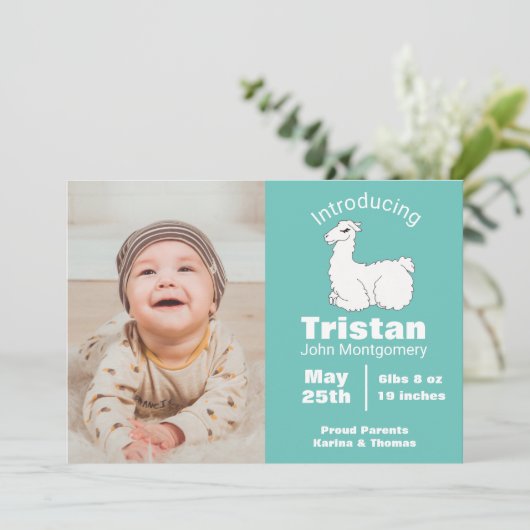 Niedliche Fluffy White Llama Geburtserklärung Einladung (Stehend Vorderseite)
