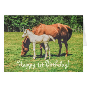 Niedliche Foal Horse Animals Custom Happy 1. Gebur