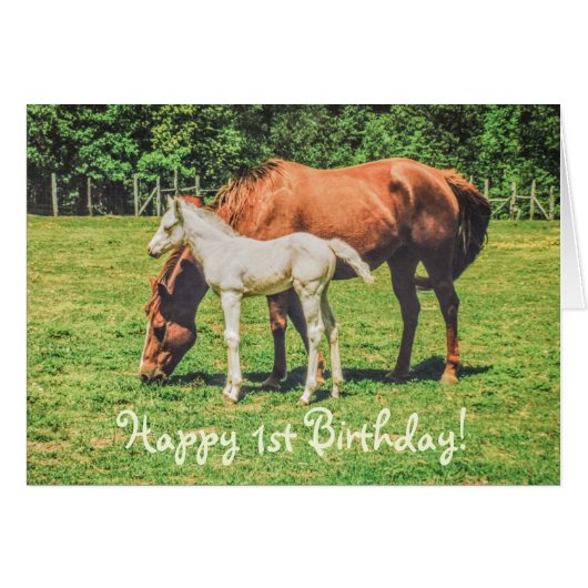 Niedliche Foal Horse Animals Custom Happy 1. Gebur (Vorderseite (Horizontal))