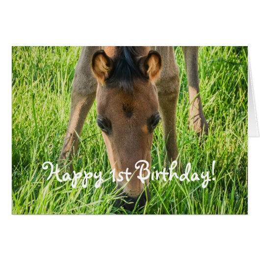 Niedliche Foal Horse Animals Happy Birthday (Vorderseite (Horizontal))
