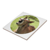 NIEDLICHE FOLIE FLIESE (Seite)