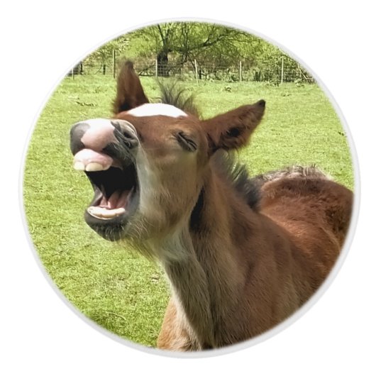 NIEDLICHE FOLIE KERAMIKKNAUF (Vorderseite)