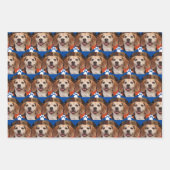 Niedliche Foto- und Paw-Druckfarben Geschenkpapier Set (Vorderseite 2)