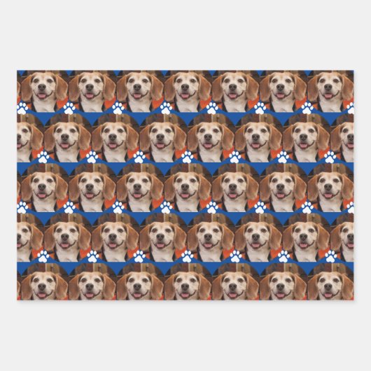 Niedliche Foto- und Paw-Druckfarben Geschenkpapier Set (Vorderseite 2)