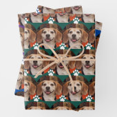 Niedliche Foto- und Paw-Druckfarben Geschenkpapier Set (Beispiel)