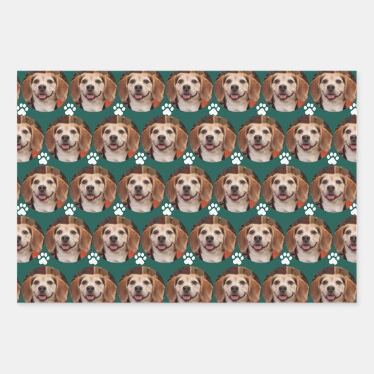 Niedliche Foto- und Paw-Druckfarben Geschenkpapier Set (Vorderseite)