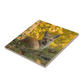 Niedliche Fox-Keramik Fliese (Seite)