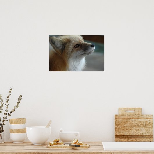 Niedliche Fox-Seite Poster (Küche)