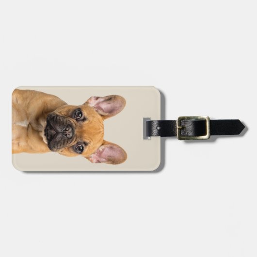 Niedliche französische Bulldogge Gepäckanhänger (Vorderseite horizontal)