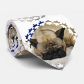 Niedliche französische Bulldogge Krawatte (Gerollt)