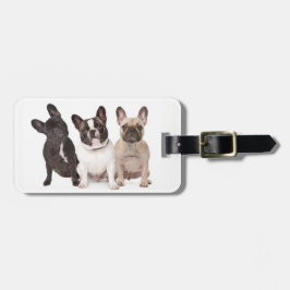 Niedliche französische Bulldoggen-Welpen Gepäckanhänger