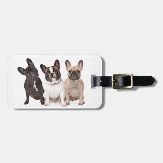 Niedliche französische Bulldoggen-Welpen Gepäckanhänger (Vorderseite horizontal)