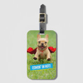 Niedliche französische Bulldoggesuperhero-Läufe im Gepäckanhänger (Vorderseite Vertikal)