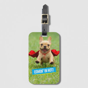 Niedliche französische Bulldoggesuperhero-Läufe im Gepäckanhänger