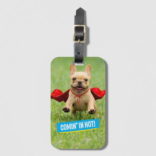 Niedliche französische Bulldoggesuperhero-Läufe im Gepäckanhänger (Vorderseite Vertikal)