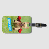 Niedliche französische Bulldoggesuperhero-Läufe im Gepäckanhänger (Vorderseite (Horizontal))