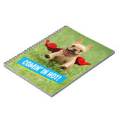 Niedliche französische Bulldoggesuperhero-Läufe im Notizblock (Linke Seite)