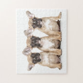 Niedliche französische Bulldogs Puzzle (Vertikal)