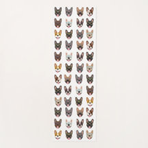 Niedliche französische Bullhunde mit Brillen