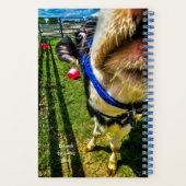 Niedliche Freunde sind Kühe Notizblock (Rückseite)