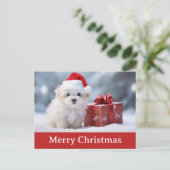 Niedliche Frohe Weihnachts Welpen Hund Weihnachtsm Postkarte (Stehend Vorderseite)