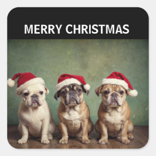 Niedliche frohe Weihnachtshunde Quadratischer Aufkleber