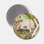 Niedliche Frosch-Natur-Waldtiere Magnet (Vorderseite/Rückseite)