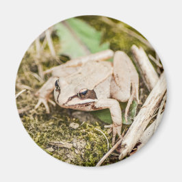 Niedliche Frosch-Natur-Waldtiere Magnet