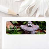 Niedliche Froschfarbe für Blumengärten (Insitu)