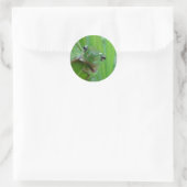 Niedliche Froschkleber Runder Aufkleber (Tasche)