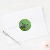 Niedliche Froschkleber Runder Aufkleber (Umschlag)