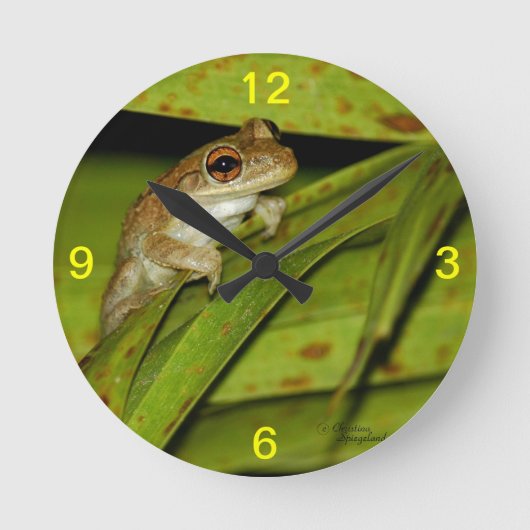 Niedliche Froschsäulenhalterung Runde Wanduhr (Vorderseite)