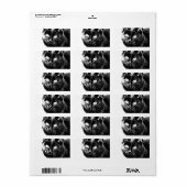 Niedliche Funky Black Cat Kitten Eyes Sketch Adressaufkleber (Vorne)