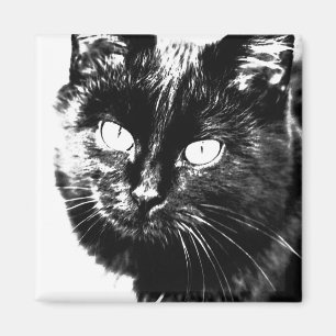 Niedliche Funky Black Cat Kitten Eyes Sketch Magnet