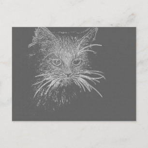 Niedliche Funky Cat Kitten Eyes face Sketch Postkarte