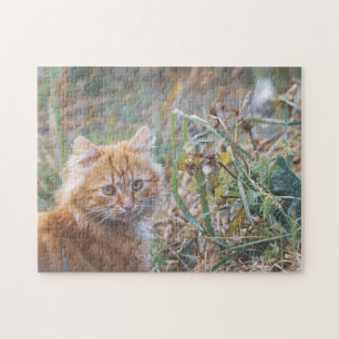 Niedliche Funky Ginger Cat Kitten Face Grass Puzzle