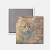 Niedliche Funky Ginger Cat Kitten Face Magnet (Vorderseite/Rückseite)