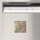 Niedliche Funky Ginger Cat Kitten Face Magnet (In Situ (Geschirrspüler))