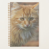 Niedliche Funky Ginger Cat Kitten Face Planer (Vorderseite)