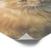 Niedliche Funky Ginger Cat Kitten Face Poster (Ecke)